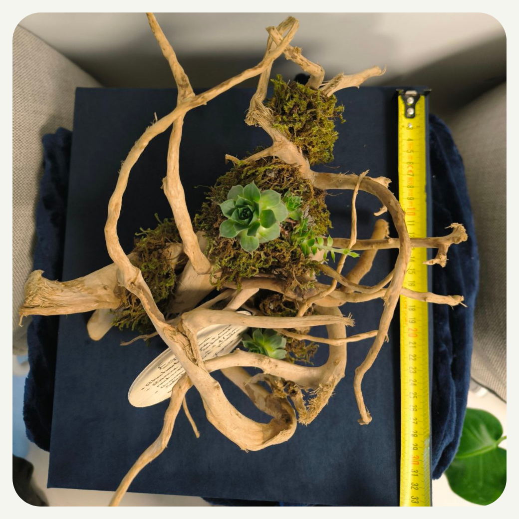 Éq1025 dimensions P33cm