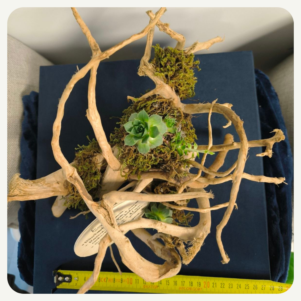 Éq1025 dimensions L29cm